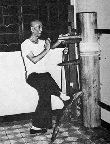 Chinese Kungfu - Wing Chun