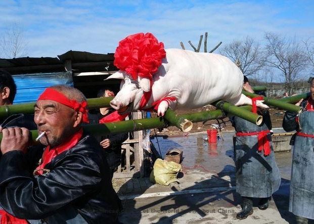 Chinese Festival - Spring Festival