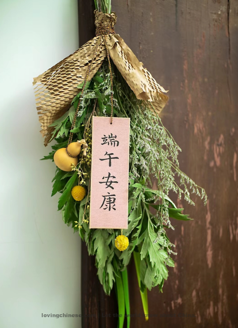 Hanging wormwood and Acorus calamus