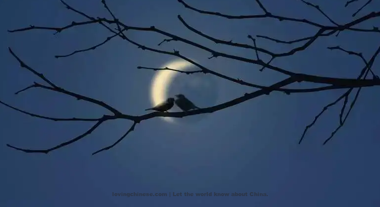 Wang Yisun Poem: Lovely Eyebrows · The Crescent Moon – 王沂孙《眉妩·新月》