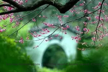 Chen Yuyi Poem: The Beautiful Lady Yu · Written while Drunk in a Farewell Feast – 陈与义《虞美人·大光祖席醉中赋长短句》