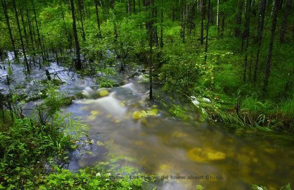 Ge Changgeng Poem: Water Dragon Chant · Pick Herbs – 葛长庚《水龙吟·采药径》