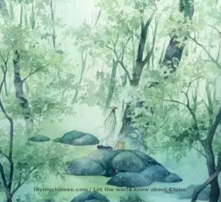 Liu Yong Poem: Slow Song of Divination – 柳永《卜算子慢·江枫渐老》