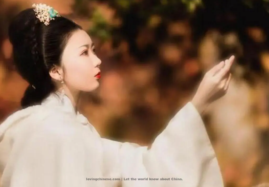 Wu Wenying Poem: Song of More Sugar – 吴文英《唐多令·惜别》
