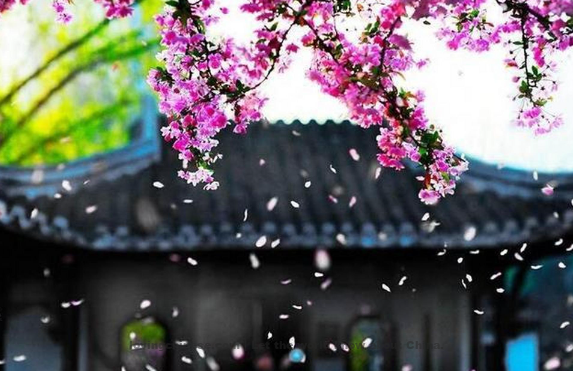 Wang Anguo Poem: Pure Serene Music Later Spring – 王安国《清平乐 春晚》
