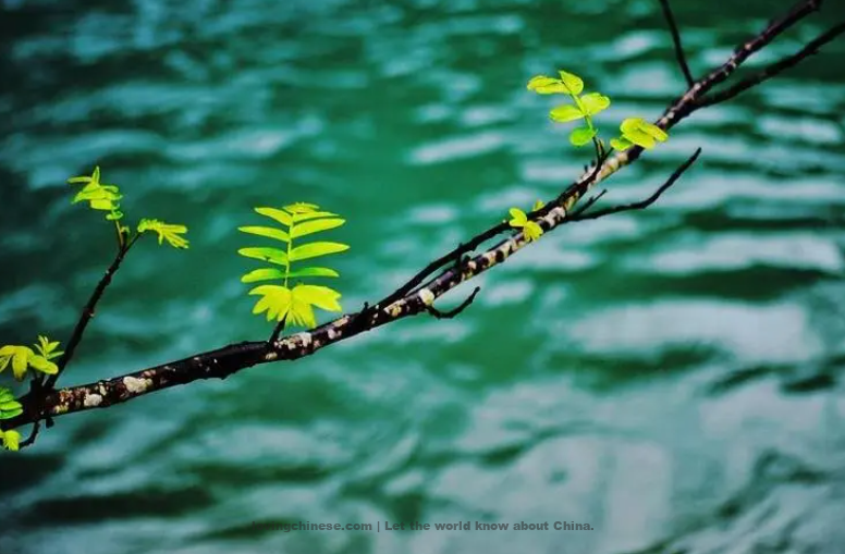 Wang Yisun Poem: The Southern Riverside· Spring Water – 王沂孙《南浦·春水》