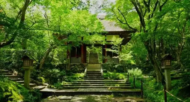 Zhang Xian Poem: Butterfly in Love with Flower – 张先《蝶恋花·移得绿杨栽后院》