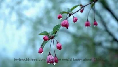 Shi Dazu Poem: Perfume of Silk Dress To Spring Pail – 史达祖《绮罗香 咏春雨》