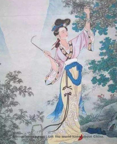Ballads of Four Seasons - 李白《子夜吴歌(春歌)》 - Li Bai poems in chinese and english