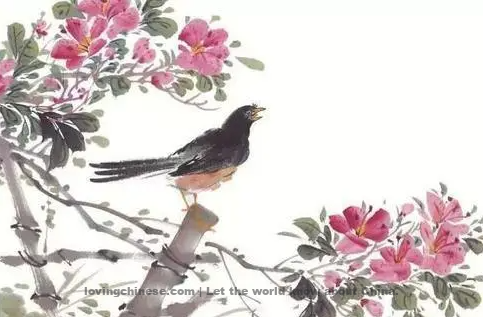 Azalea Blooms Viewed in Xuancheng - 李白《宣城见杜鹃花》 - Li Bai poems in chinese and english