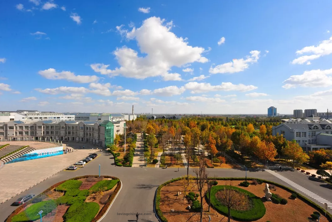 Weifang 潍坊（Wéifāng） - Chinese Cities