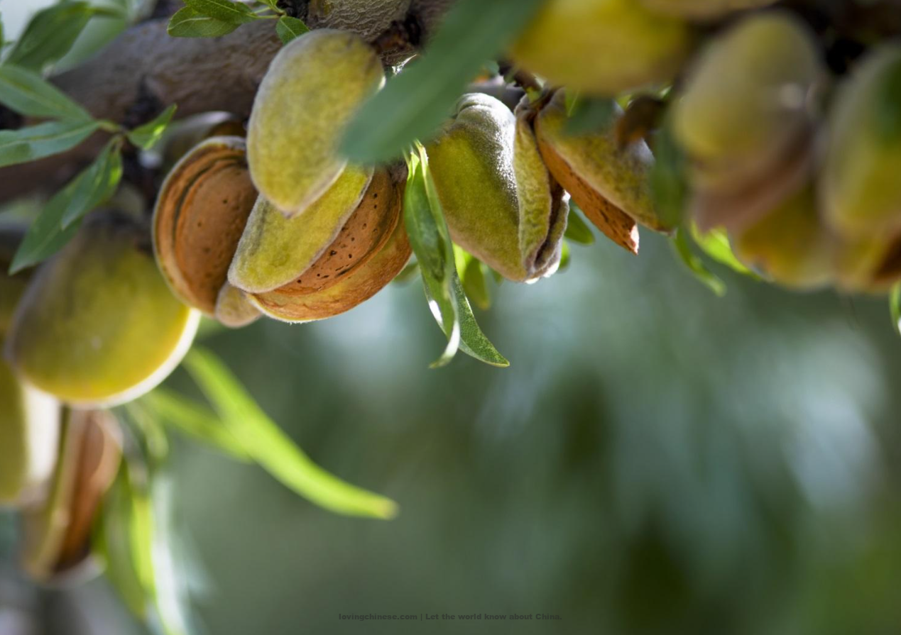 Urumqi 乌鲁木齐（Wūlǔmùqí）- Chinese Cities