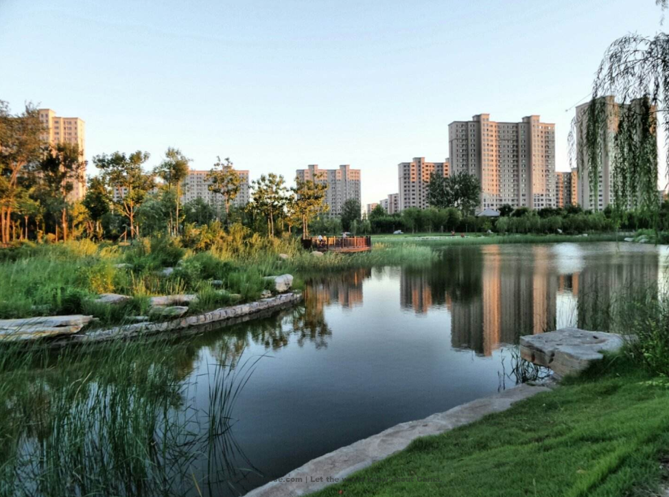 Dongying 东营（Dōngyíng）- Chinese Cities