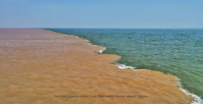 Dongying 东营（Dōngyíng）- Chinese Cities