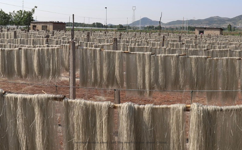 Xuchang 许昌（Xǔchāng）- Chinese Cities