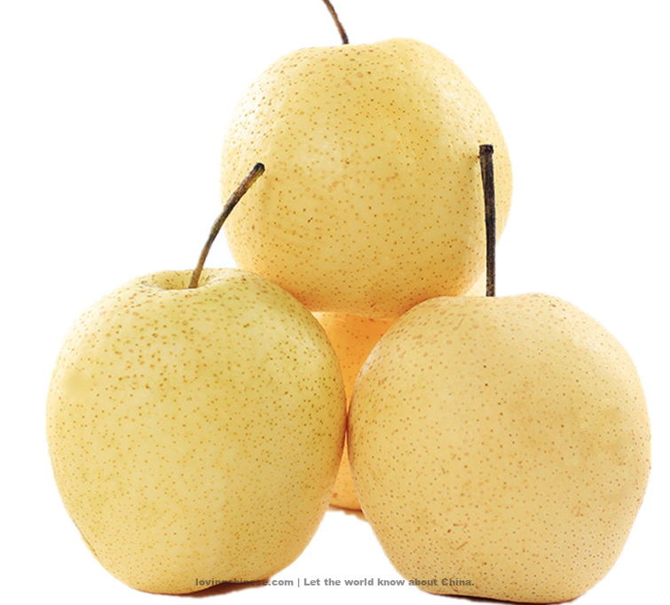 Shijiazhuang 石家庄（Shíjiāzhuāng）- Chinese Cities