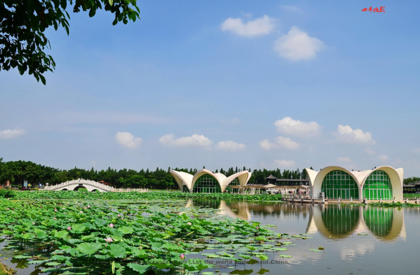 Foshan 佛山（Fóshān）- Chinese Cities