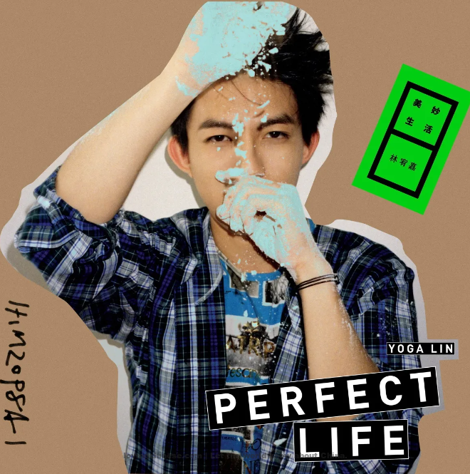 'The Wonderful Life' 美妙生活 by Lin Youjia ~ [Chinese Songs]