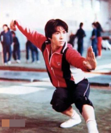Chinese star: Donnie Yen甄子丹