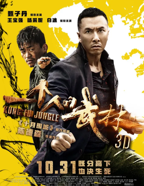 Chinese star: Donnie Yen甄子丹