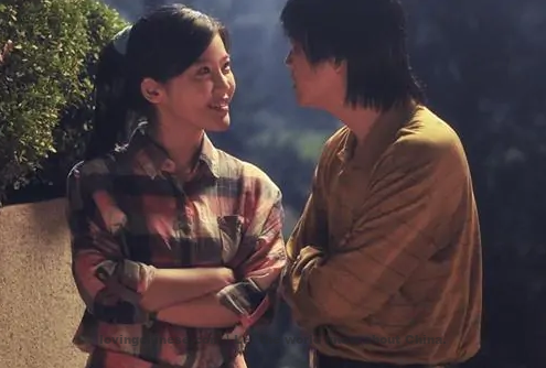 Chinese film: So Young致我们终将逝去的青春