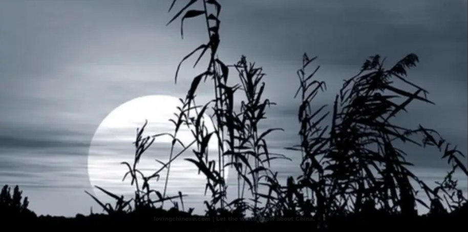 Li Bai Poem: Endless Longing – 李白《长相思》