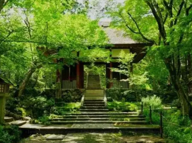 Zhang Xian Poem: Butterfly in Love with Flower – 张先《蝶恋花·移得绿杨栽后院》