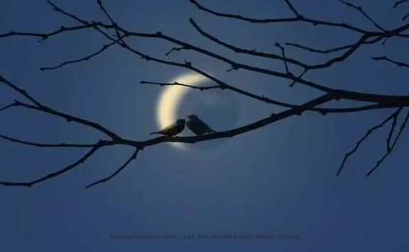 Wang Yisun Poem: Lovely Eyebrows · The Crescent Moon – 王沂孙《眉妩·新月》