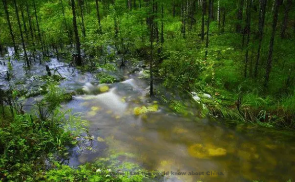 Ge Changgeng Poem: Water Dragon Chant · Pick Herbs – 葛长庚《水龙吟·采药径》