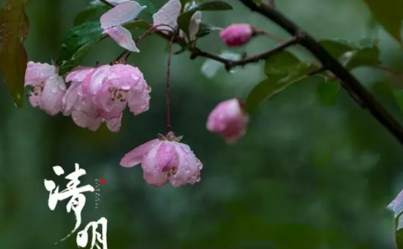 Zhang Xian Poem: Magnolia Flowers · Cold Food Day in 1075 – 张先《木兰花·乙卯吴兴寒食》