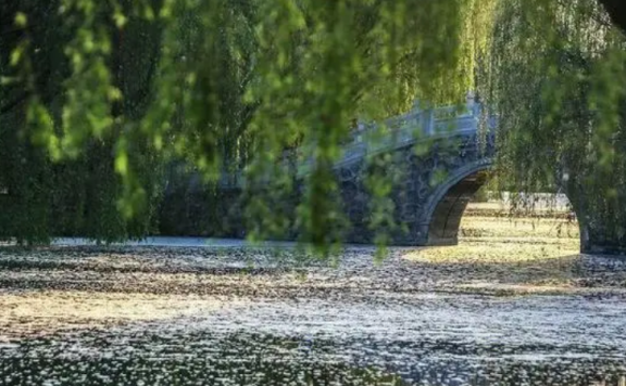 Liu Chenweng Poem: Silk-washing Stream · A Spring Day – 刘辰翁《浣溪沙·春日即事》