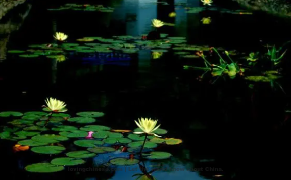 Zhou Mi Poem: Nursling Swallows’ Flight – 周密《乳燕飞·波影摇涟甃》