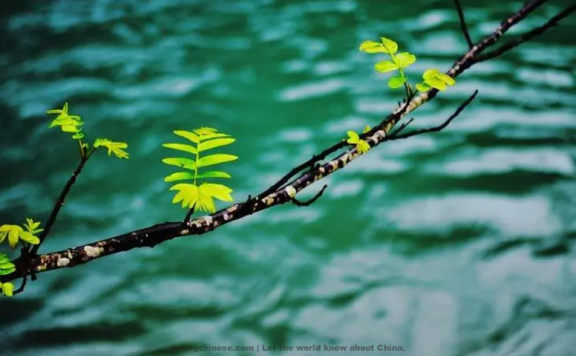 Wang Yisun Poem: The Southern Riverside· Spring Water – 王沂孙《南浦·春水》