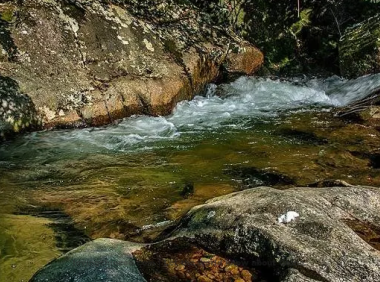 Chen Liang Poem: A Shrub of Flowers · The Moon Viewed from the Hillside Hall– 陈亮《一丛花·溪堂玩月作》