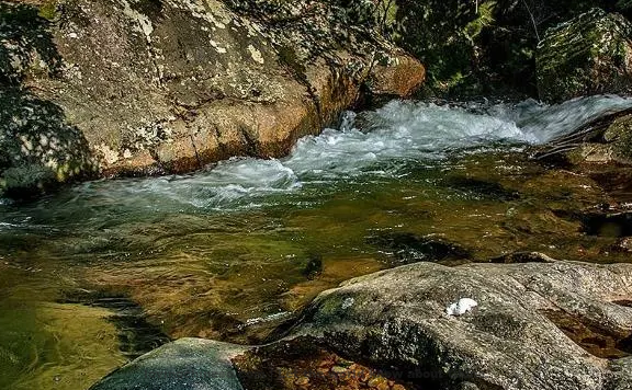 Chen Liang Poem: A Shrub of Flowers · The Moon Viewed from the Hillside Hall– 陈亮《一丛花·溪堂玩月作》